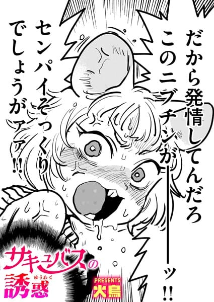 【エロ漫画フル】b915awnmg03719 | サキュバスの誘惑 | 火鳥